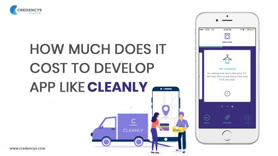 How Much Does it Cost to Develop App Like Cleanly logo