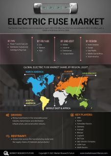 Electric Fuse Market Research Report Information, by Type logo