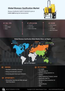 Biomass Gasification Market Research Report Information By Fuel Type logo