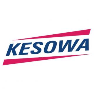 Kesowa - The real truth by drone data logo