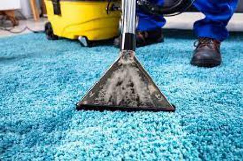 Carpet Steam Cleaning Seddon logo