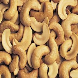 Buy Cashew Nuts | Agro Exchanges logo