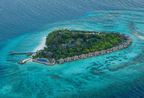 Maldives Tour Packages- Help you explore the Nature’s Bounties logo