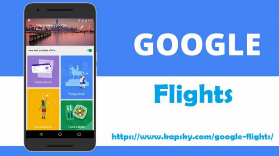 Google Flights | Google Flights Search logo