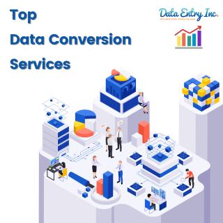 Top Data Conversion Service Provider in India - Data Entry Inc. logo