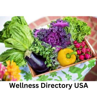 Wellness and Health Blog Directory USA logo