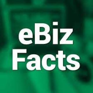 eBiz Facts logo