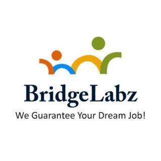 Remote Working Software Developer Jobs - Bridgelabz logo