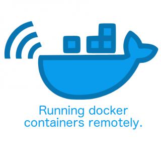 DockerServer - Running docker containers remotely. logo