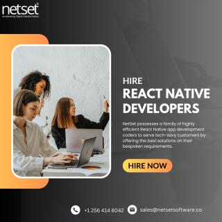 Hire React Native Developers India - NetSet Software logo