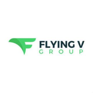 Flying V Group logo