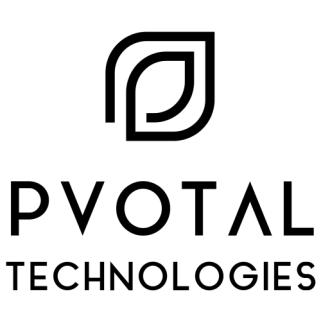 Pvotal Technologies - End-to-end security software developer logo