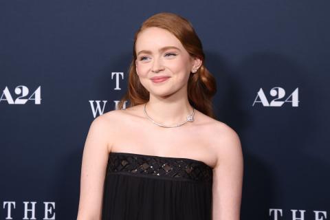 Sadie Sink Net Worth logo