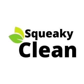 Squeaky Clean Inc. logo