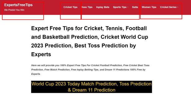 Expert Free Tips for Cricket, Tennis, Football and Basketball Prediction logo