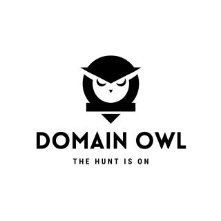 DomainOwl logo