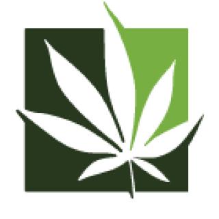 Experience Greatness with Mass CBD Merchants logo