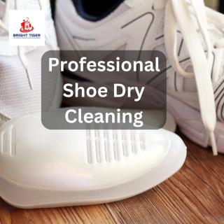 Professional shoe dry cleaning service in Lucknow / Bright Tiger logo