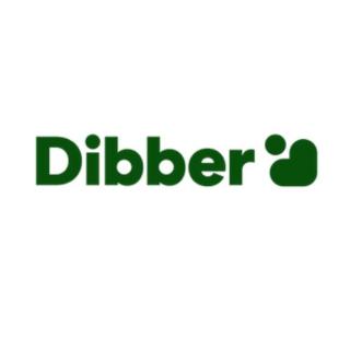 Best International Preschools in India | Dibber logo