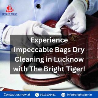 Best bag dry cleaning service in Lucknow. logo