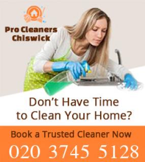 Pro Cleaners Chiswick logo