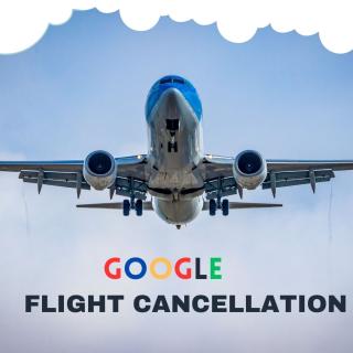 Is there a 24-hour cancellation policy on Google Flights? logo