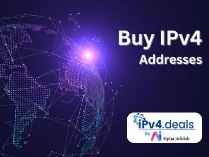 Guide to Buying an IPv4 Address logo