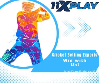 Get the Best and Safest Betting Experience with 11xplay logo