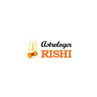 Indian Astrologer In London logo