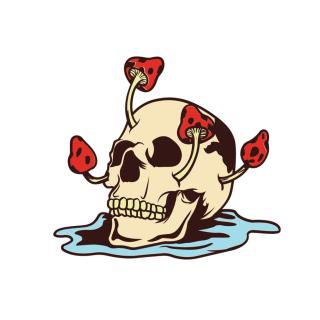 Skull Mushroom Cosmetics Co. logo