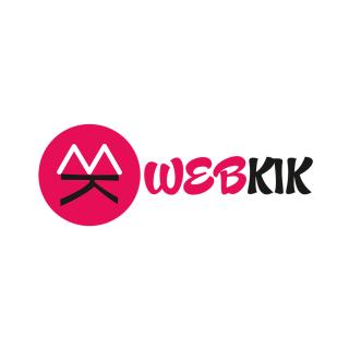 Webkik Services- Best Website designing & Marketing Company in Delhi logo