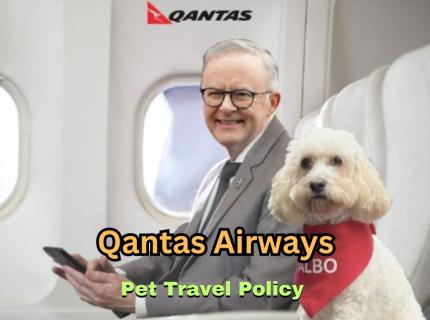 'Qantas Airways' Pet Policy logo