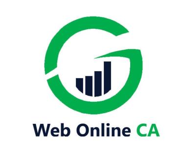 E-filing: Online Tax Experts | WEB ONLINE CA logo