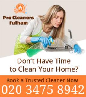 Pro Cleaners Fulham logo