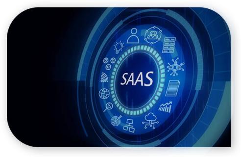 SaaS Consulting Services logo