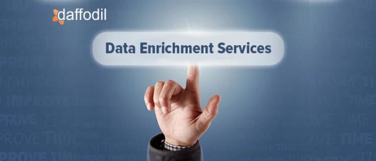 Data enrichment Services logo