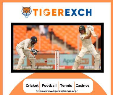 Unbeatable Betting with Tiger Exchange: The Perfect Platform for Punters! logo