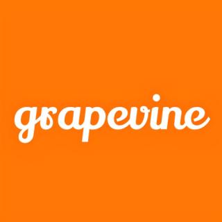 Grapevine - My company & salary logo