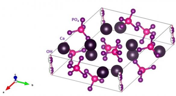 The Global Hydroxyapatite Market Growth logo