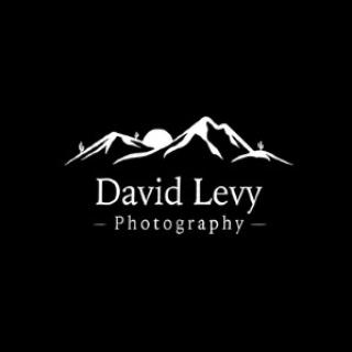 David Levy Photography logo