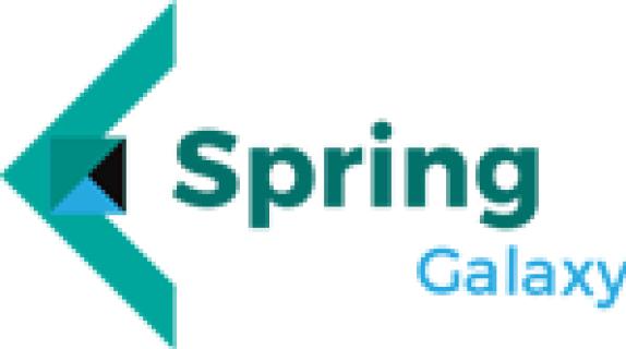 About Spring Galaxy - Financial Modelling Consultant logo