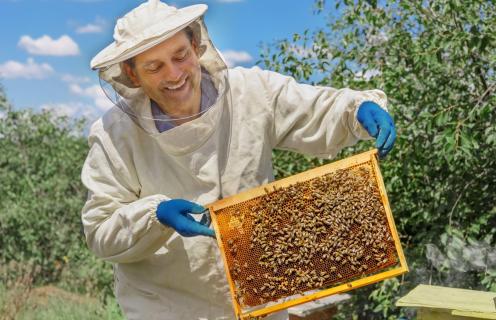 Beekeeping Suits for Sale | Protect Yourself in Style | USA Beekeepers logo