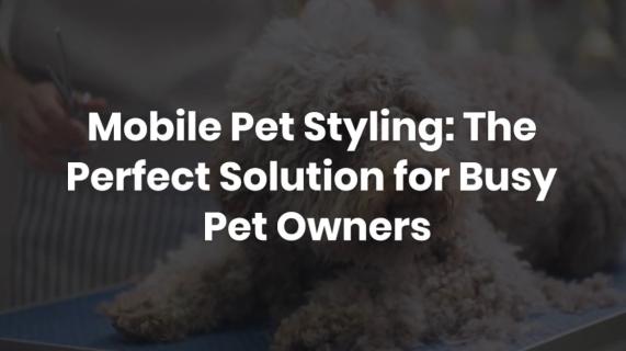 Mobile Pet Styling: The Perfect Solution for Busy Pet Owners logo