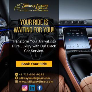 Elevate Your Experience with Elegant Limo Services logo