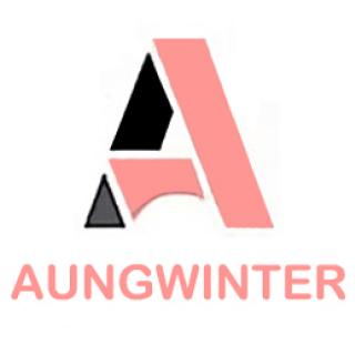 Aungwinter logo