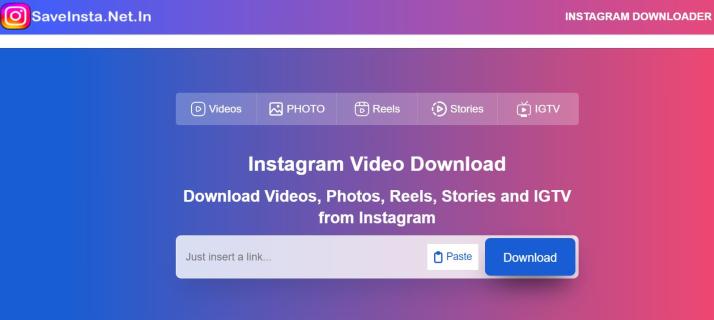 SaveInsta Unleashed: Elevate Your Instagram Game by Saving Moments Seamlessly logo