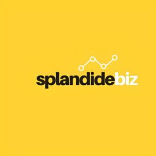 splandidebiz.com - Entrepreneurship and fast visibility by SEO logo