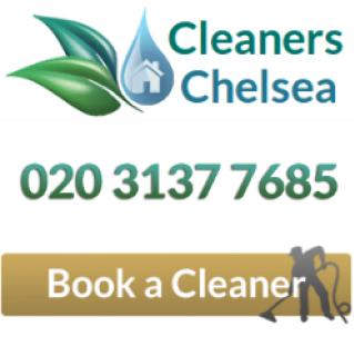 Professional Cleaners Chelsea logo