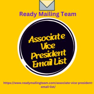 Associate Vice President Email List logo