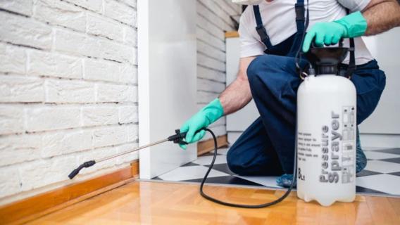 Professional Pest Removal | Pest Service Quote logo